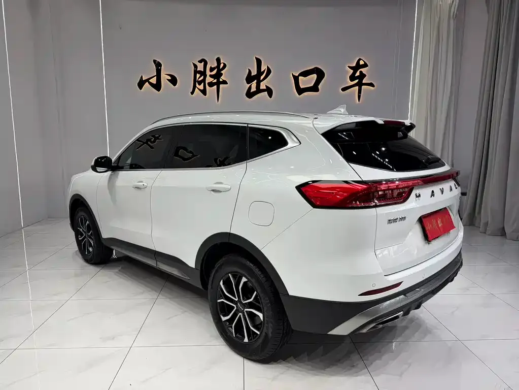 Haval H6 — фото 10