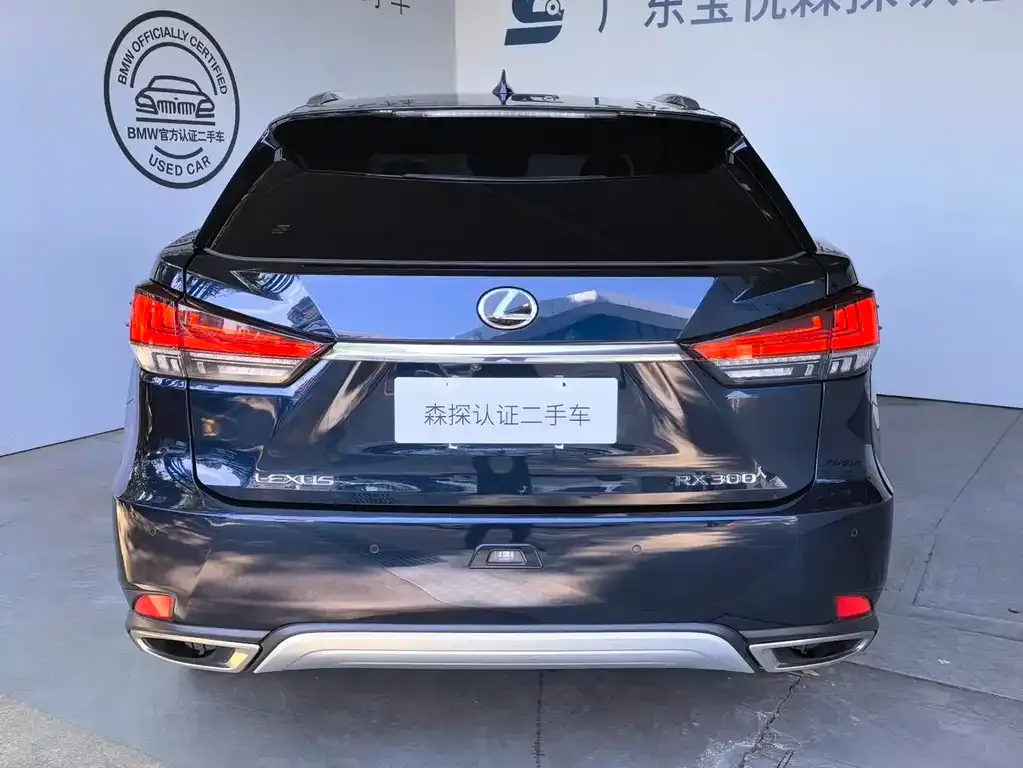 Lexus RX — фото 6