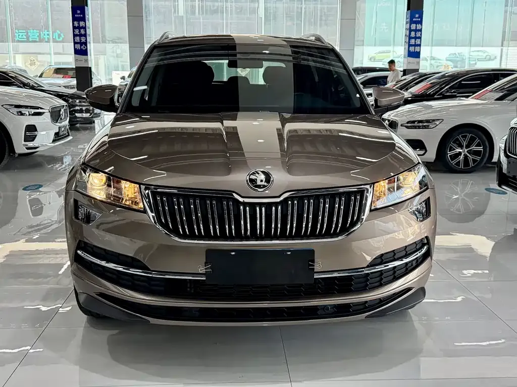 Skoda Karoq — фото 6