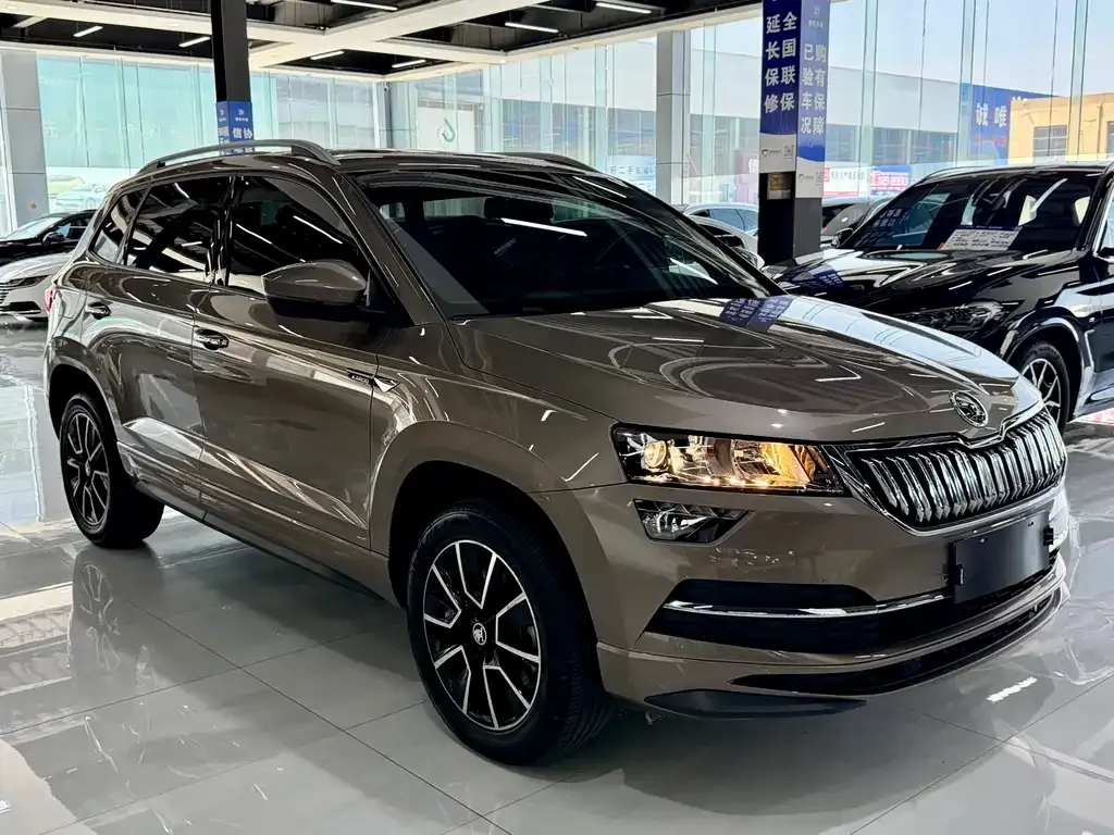 Skoda Karoq — фото 9