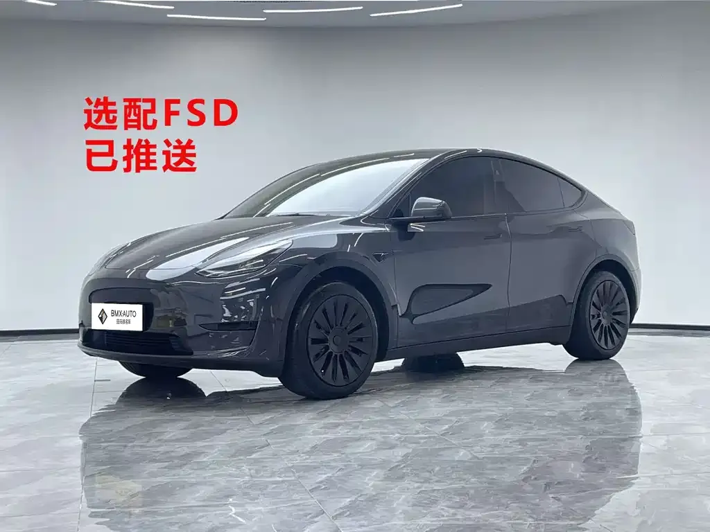Tesla Model Y — фото 1