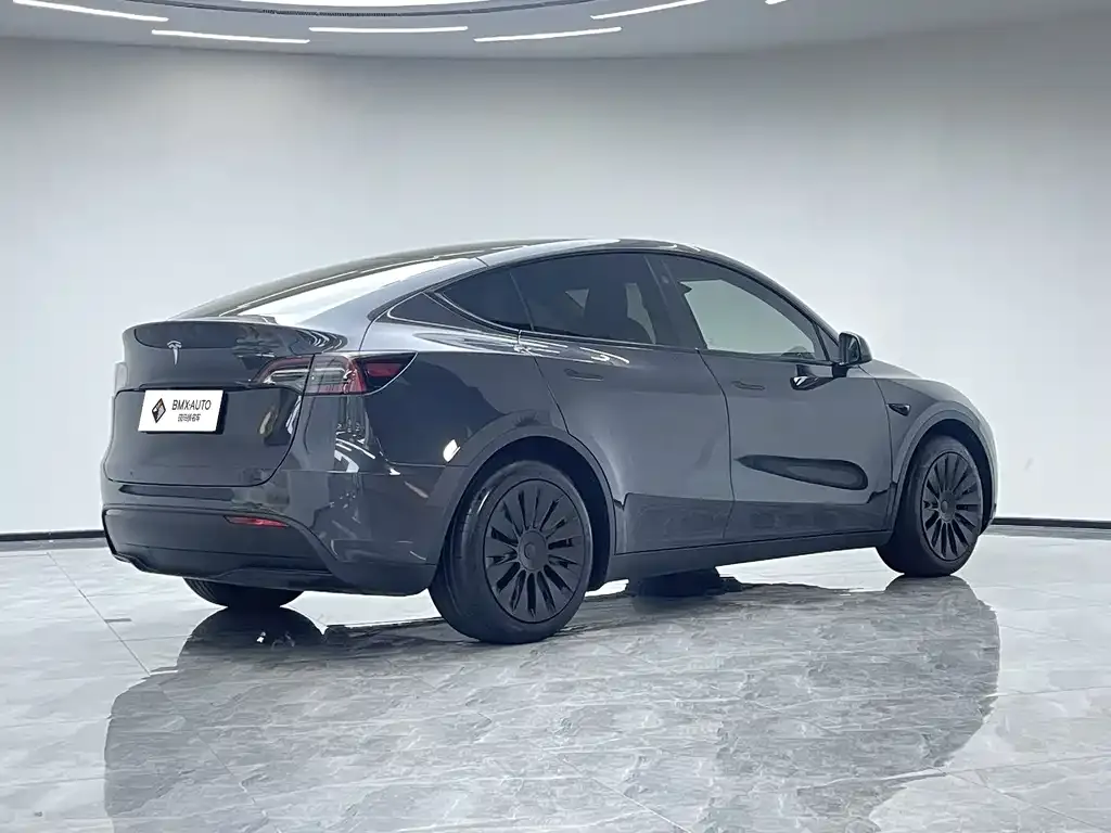 Tesla Model Y — фото 5