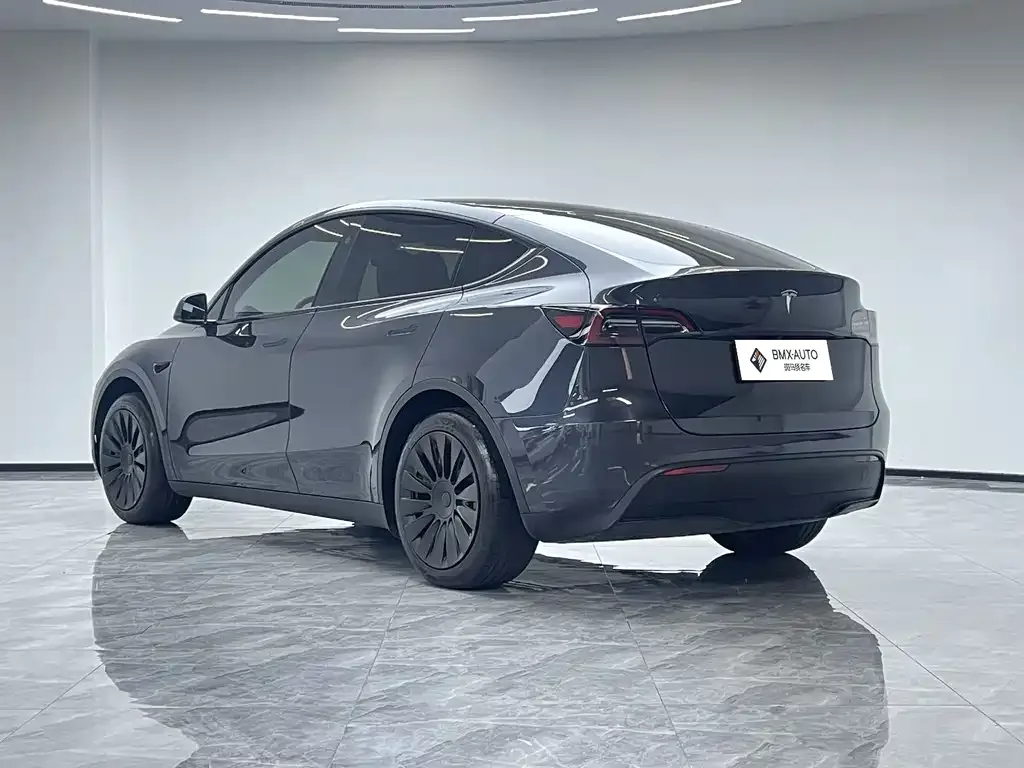 Tesla Model Y — фото 9
