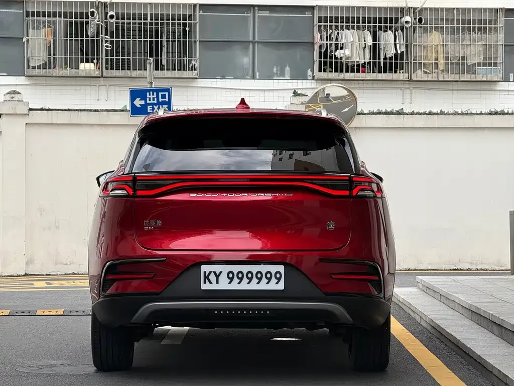 BYD Tang New Energy — фото 10