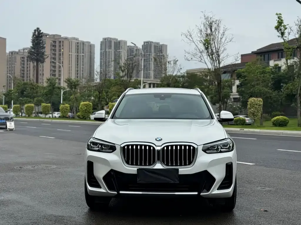 BMW X3 2024 из CN, фото 6
