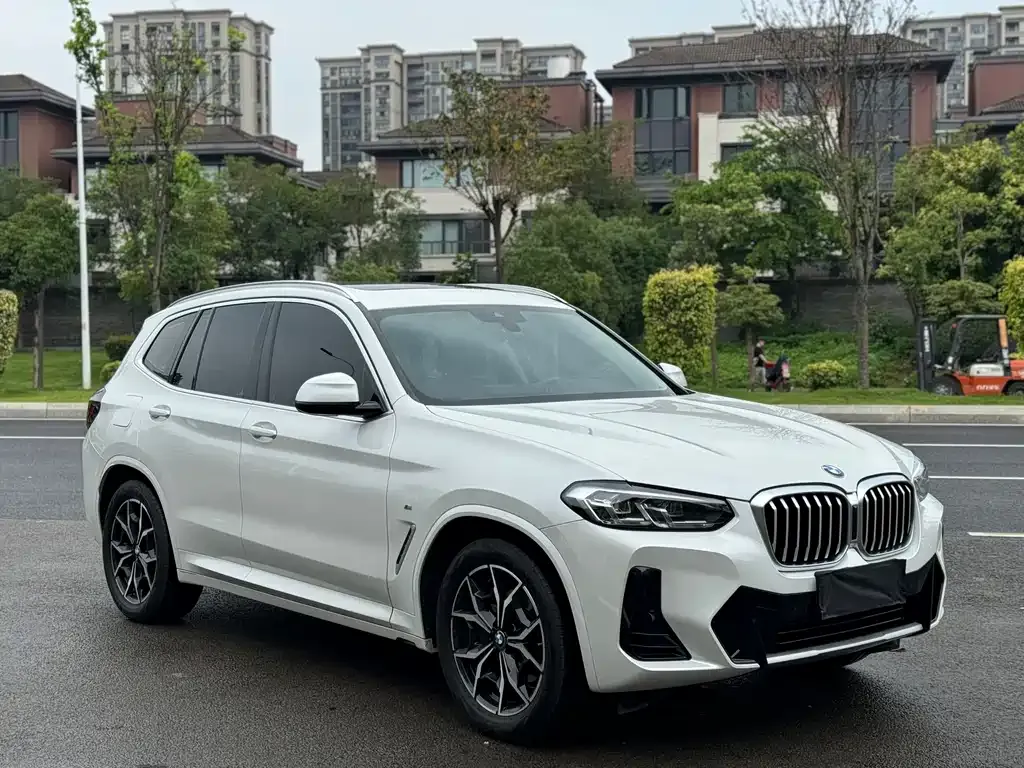 BMW X3 2024 из CN, фото 5
