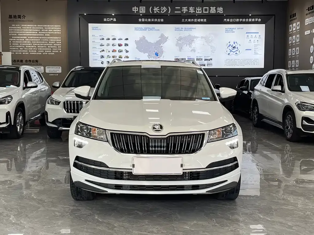 Skoda Karoq — фото 7