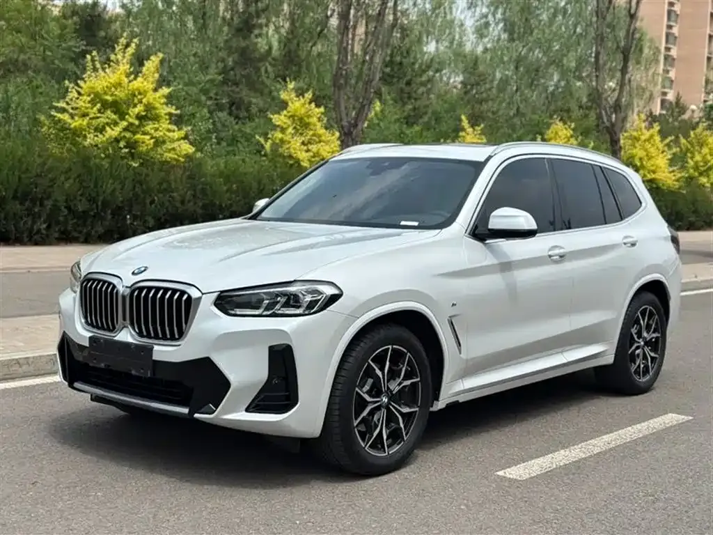BMW X3 — фото 1