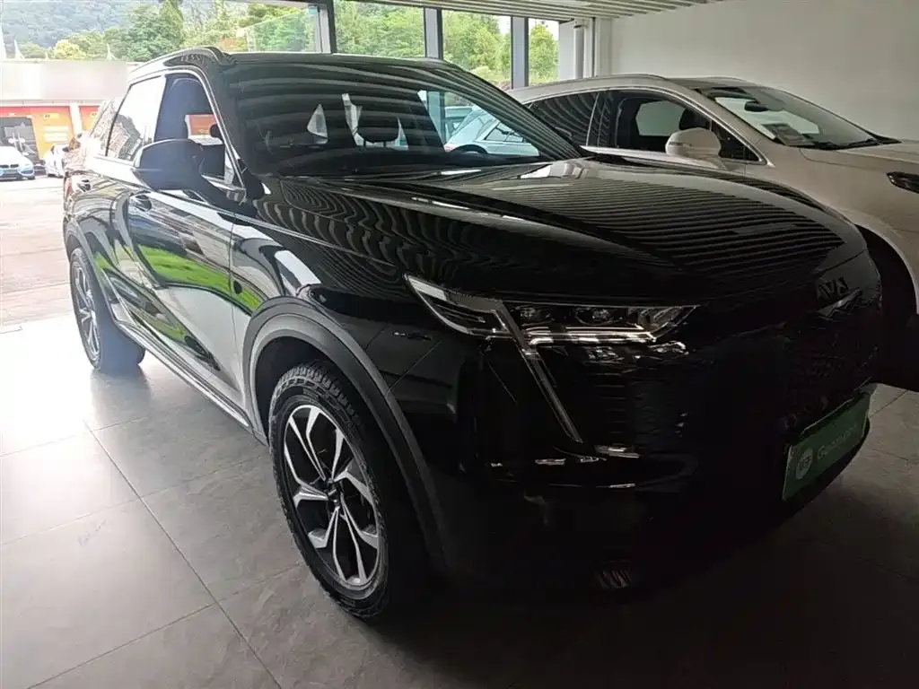 Haval Xiaolong MAX 2024 из CN, фото 6