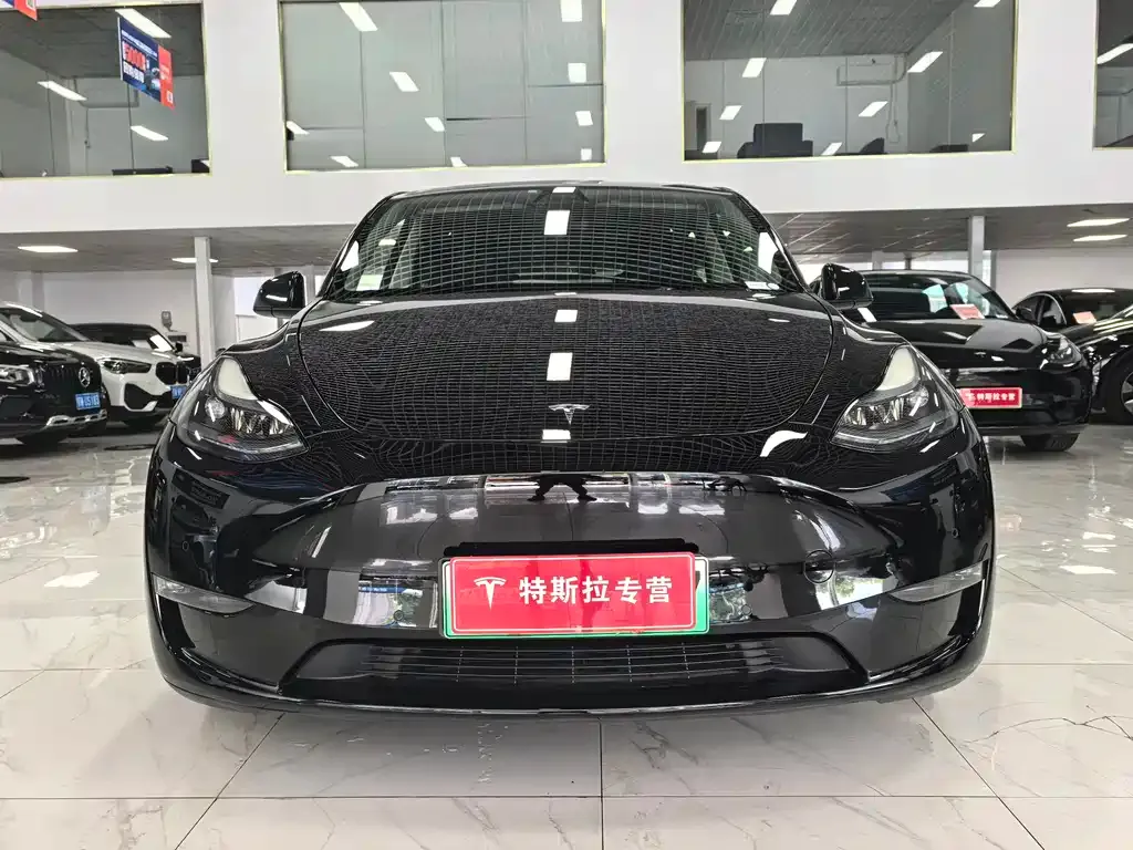 Tesla Model Y — фото 10