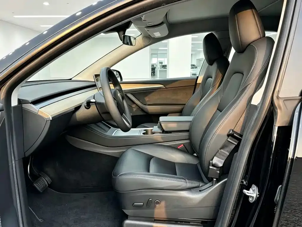 Tesla Model Y — фото 10