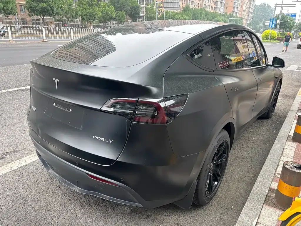 Tesla Model Y — фото 3