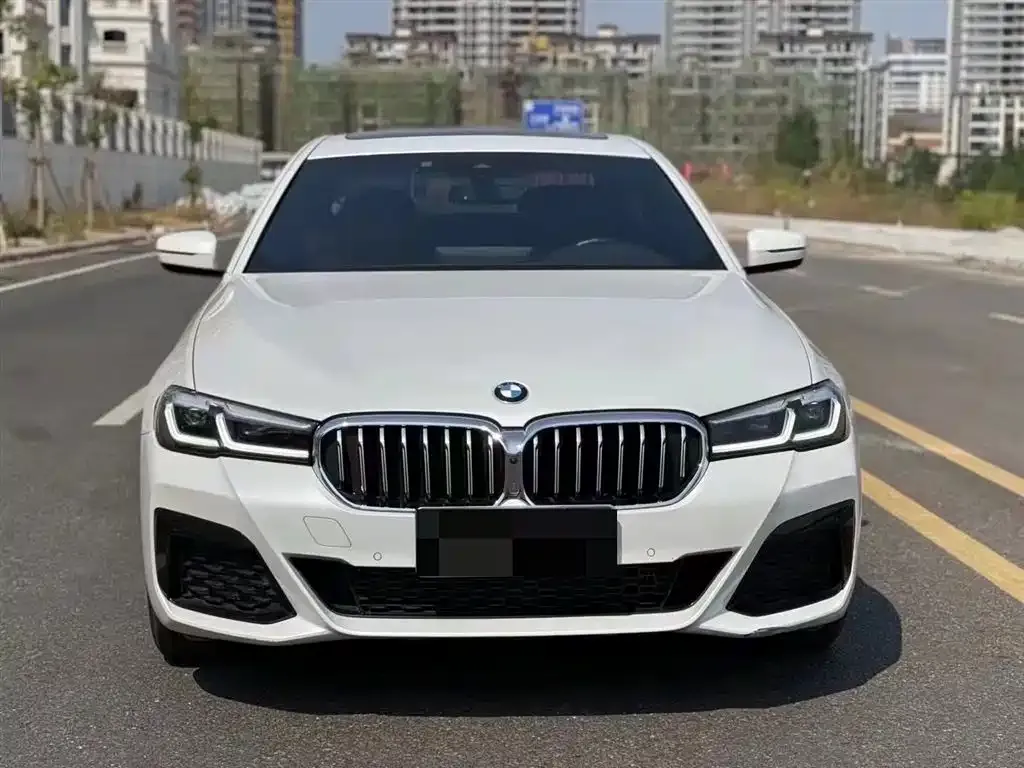 BMW 5 Series 2021 из CN, фото 4
