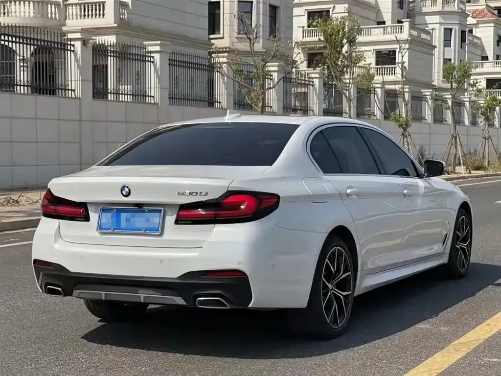 BMW 5 Series 2021 из CN, фото 6