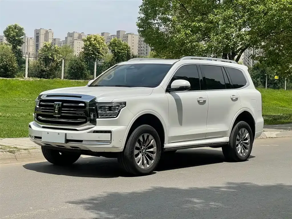 Tank 500 New Energy 2023 из CN, фото 9