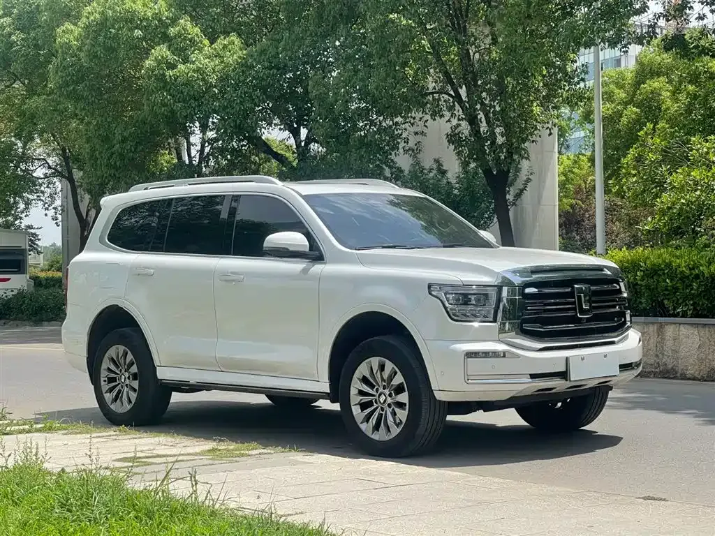 Tank 500 New Energy 2023 из CN, фото 10