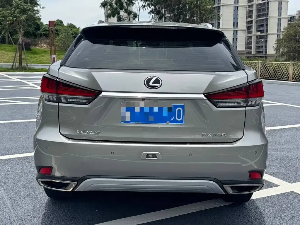 Lexus RX 2022 из CN, фото 4