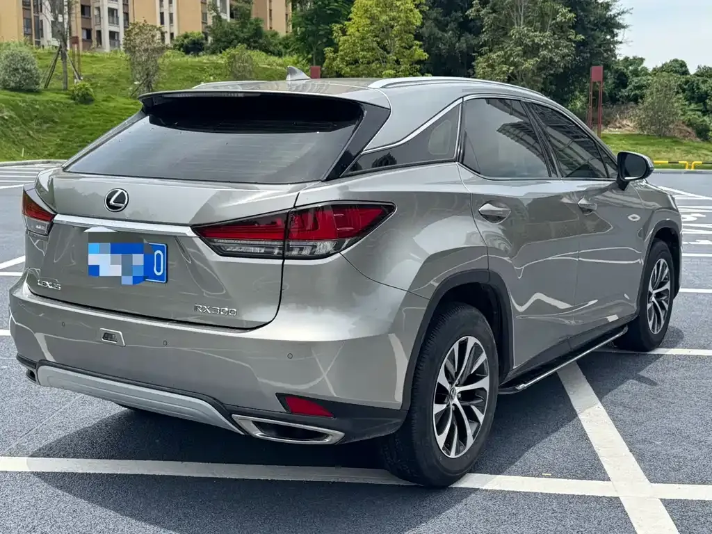 Lexus RX 2022 из CN, фото 6