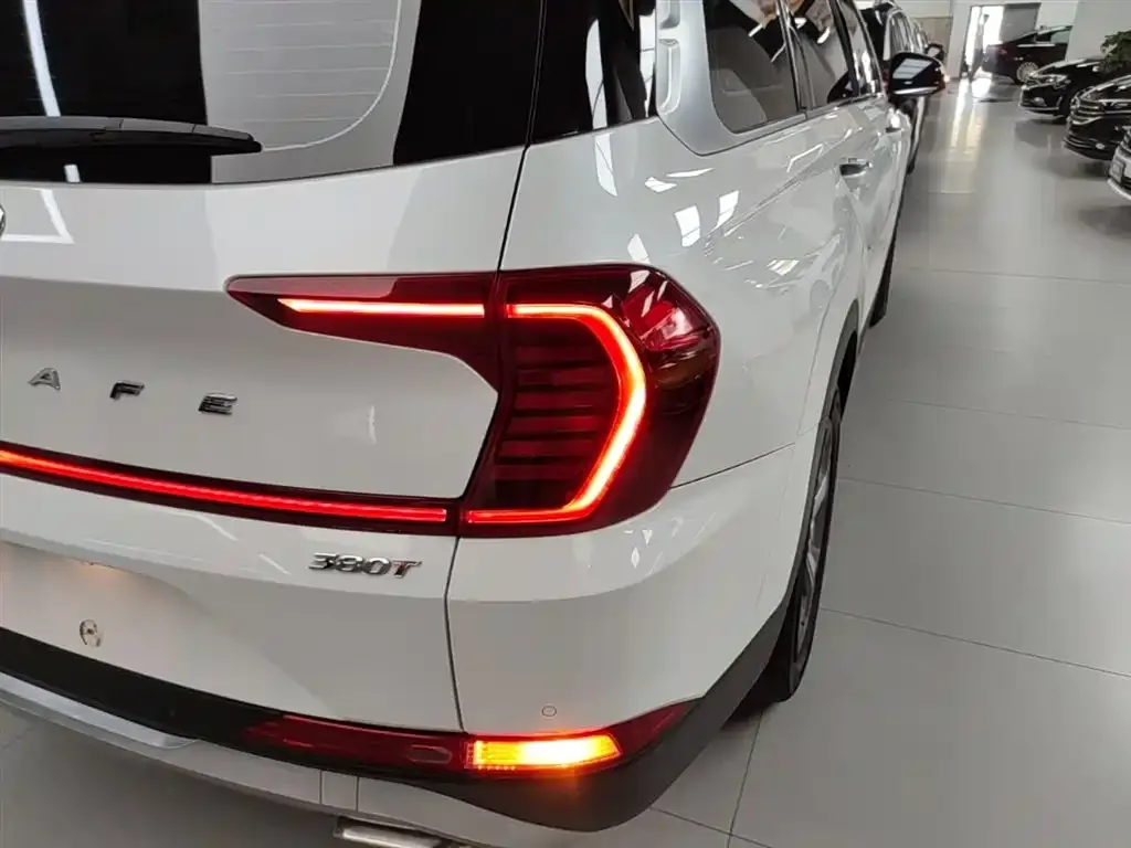 Hyundai Santa Fe 2021 из CN, фото 9