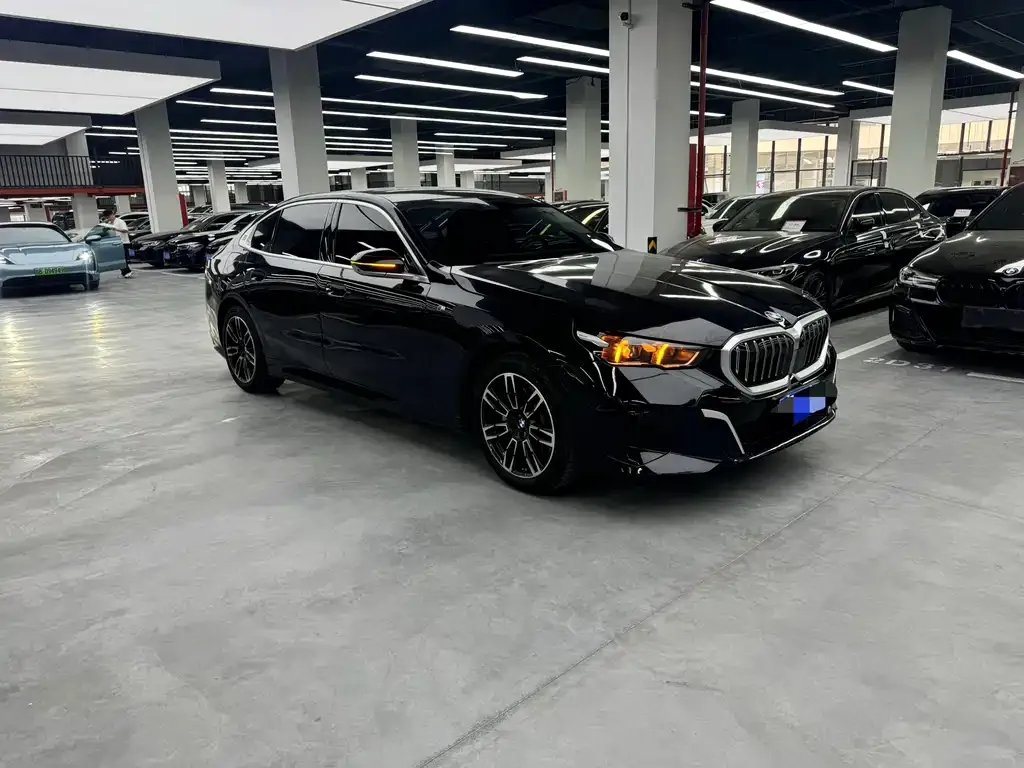 BMW 5 Series 2024 из CN, фото 9