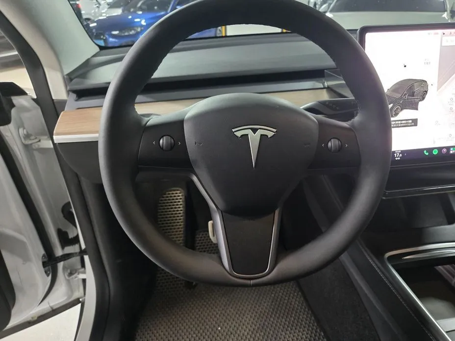 Tesla Model Y 2021 из KR, фото 10
