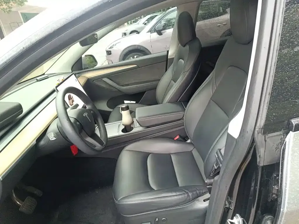 Tesla Model Y — фото 10