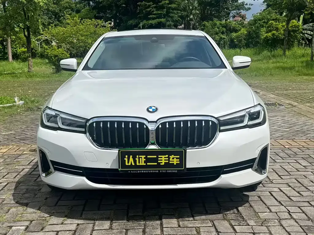 BMW 5 Series 2022 из CN, фото 5