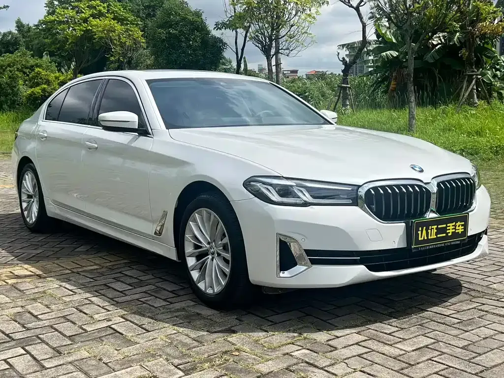 BMW 5 Series 2022 из CN, фото 3