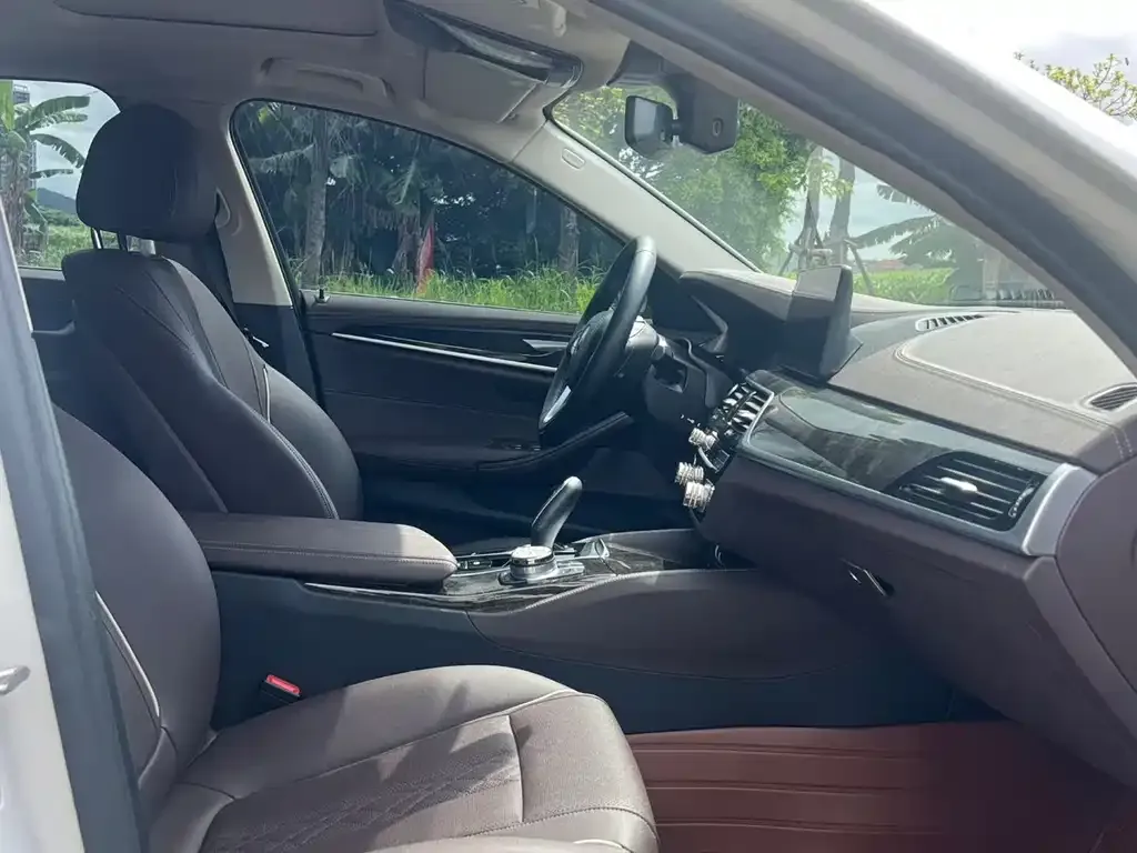 BMW 5 Series 2022 из CN, фото 4