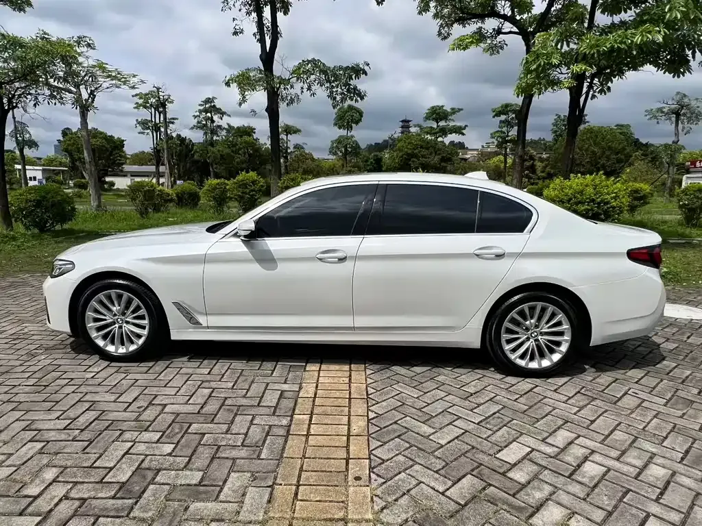 BMW 5 Series 2022 из CN, фото 9