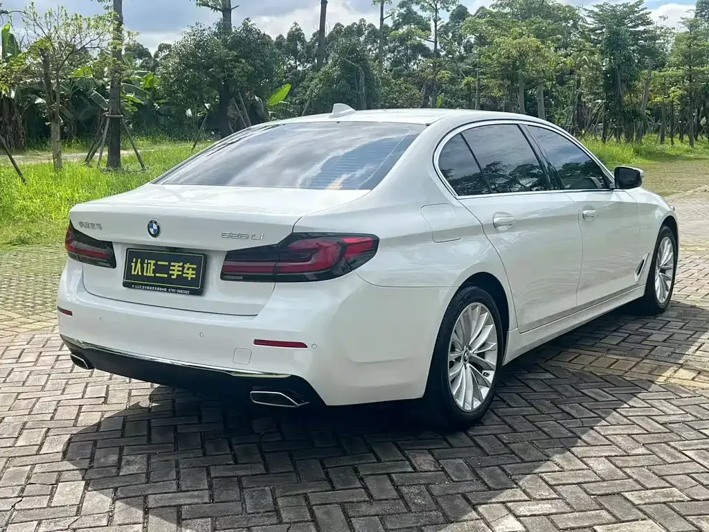 BMW 5 Series 2022 из CN, фото 6