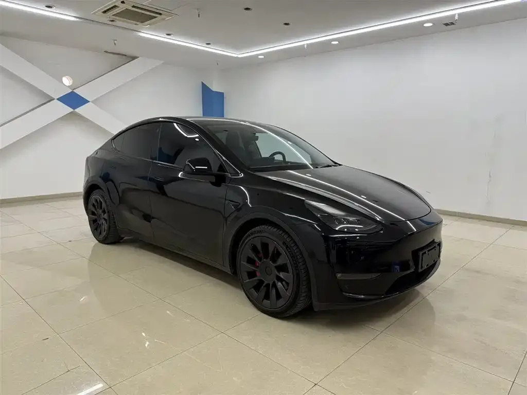 Tesla Model Y — фото 3