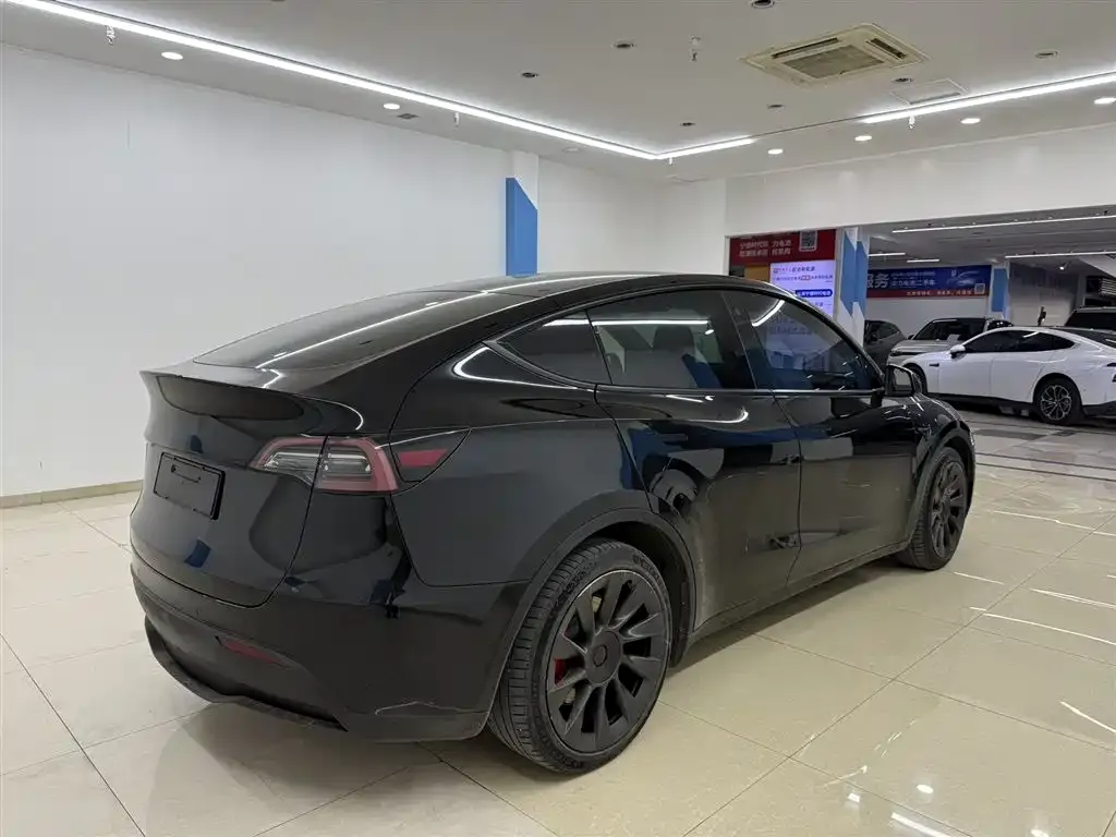 Tesla Model Y — фото 8