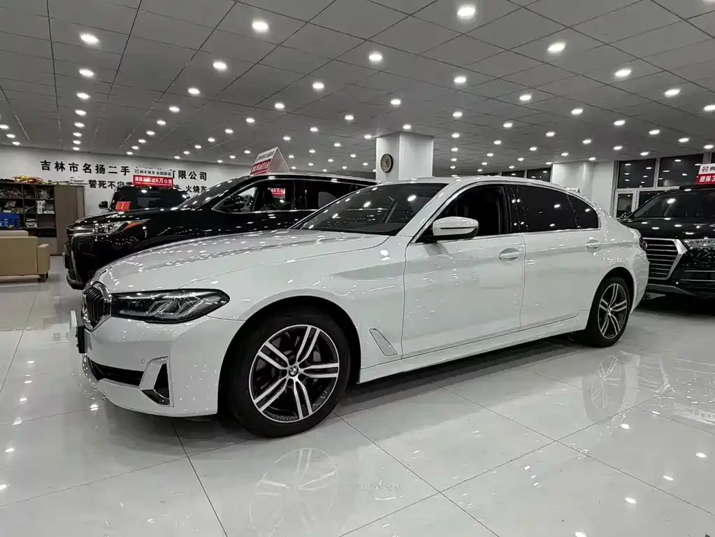 BMW 5 Series 2021 из CN, фото 6
