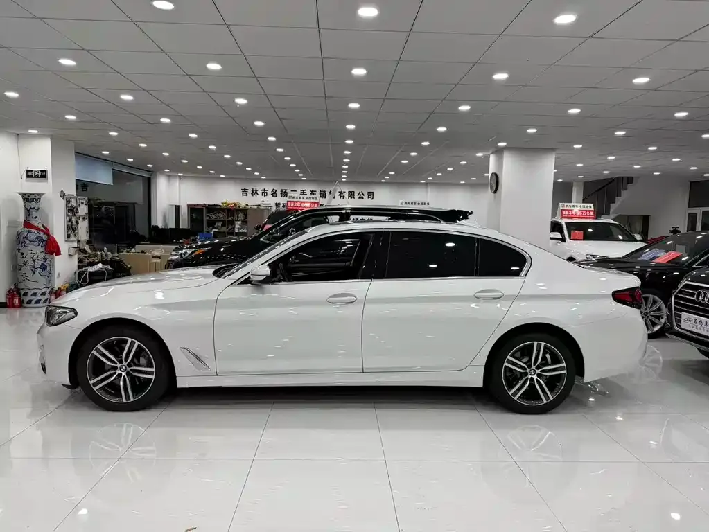 BMW 5 Series 2021 из CN, фото 2