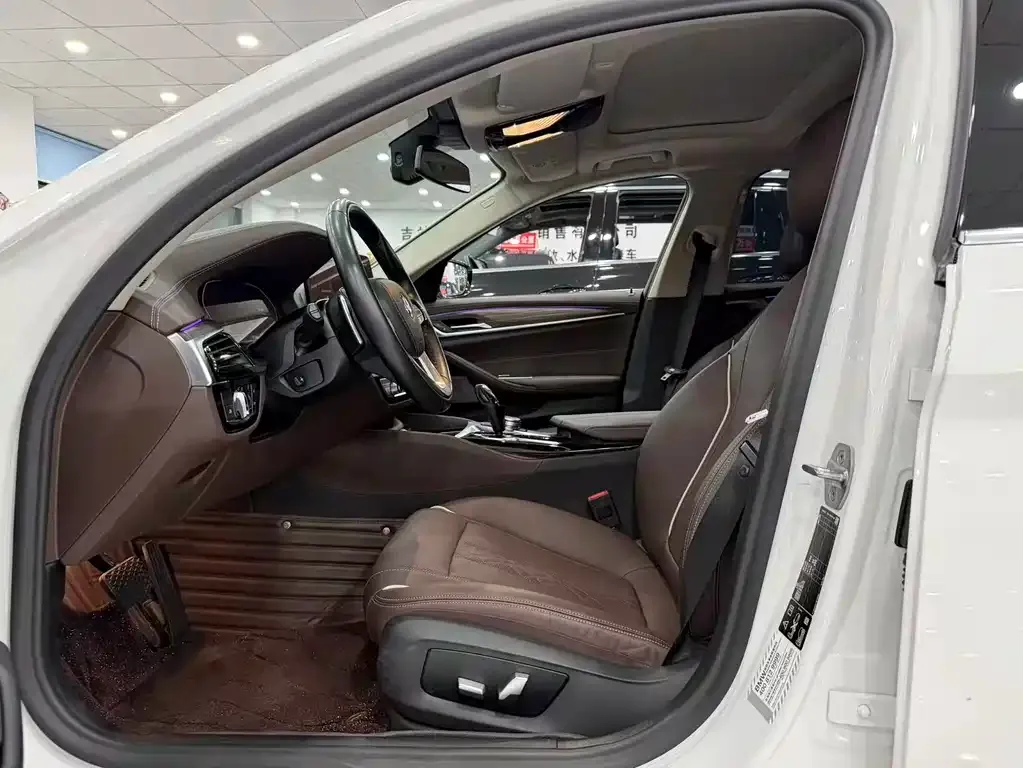 BMW 5 Series 2021 из CN, фото 4