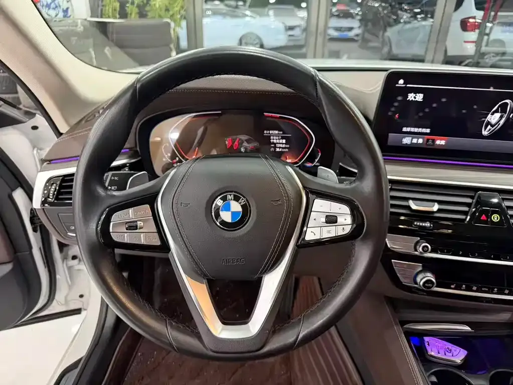 BMW 5 Series 2021 из CN, фото 5