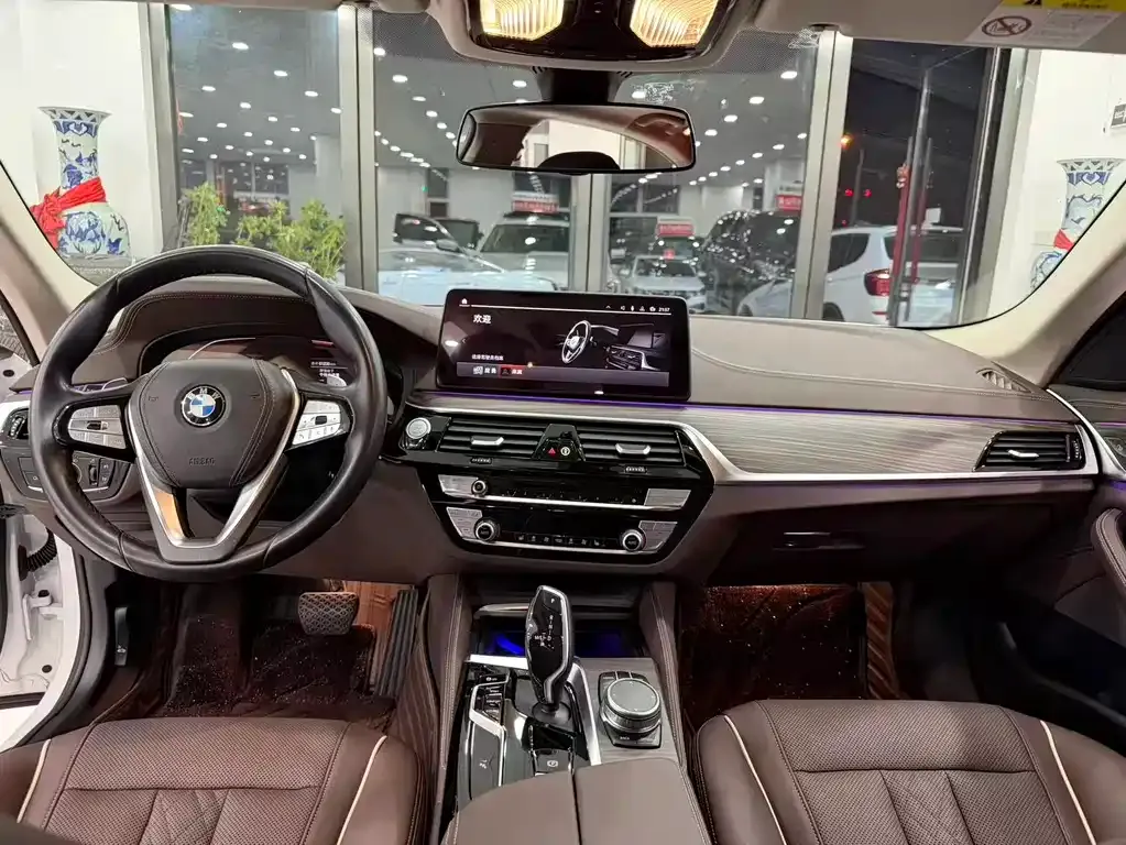 BMW 5 Series 2021 из CN, фото 7