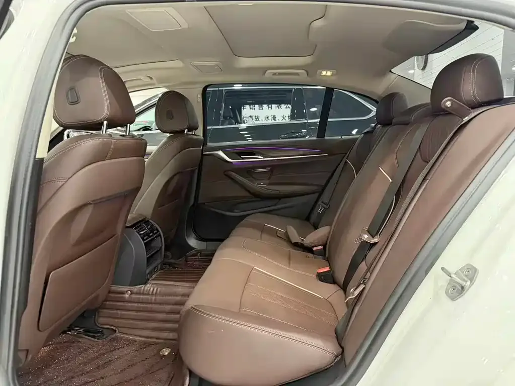 BMW 5 Series 2021 из CN, фото 3