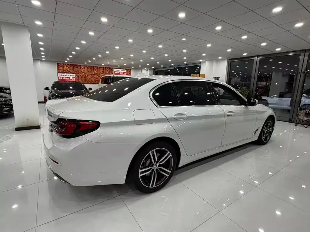 BMW 5 Series 2021 из CN, фото 8