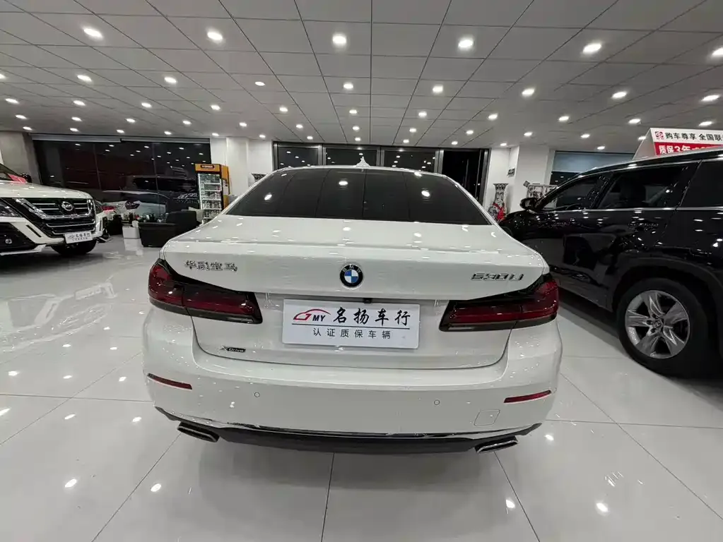 BMW 5 Series 2021 из CN, фото 9