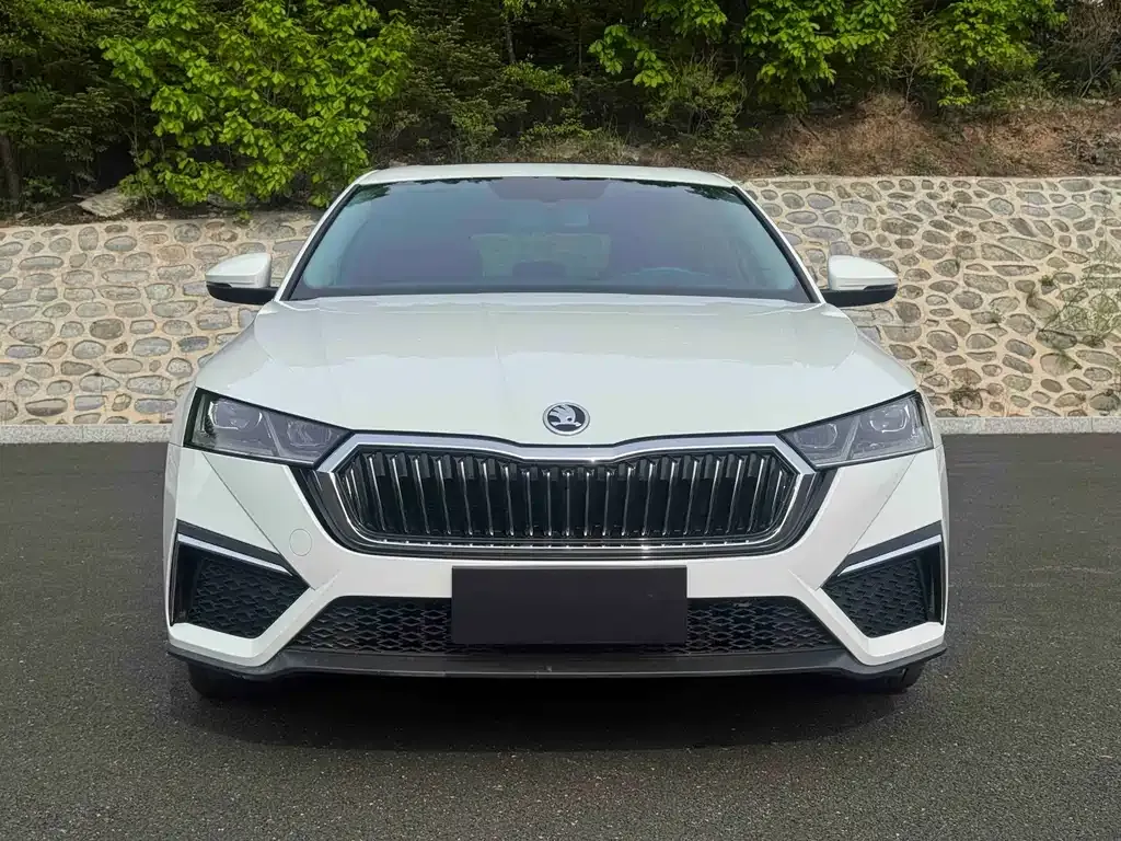 Skoda Octavia — фото 4