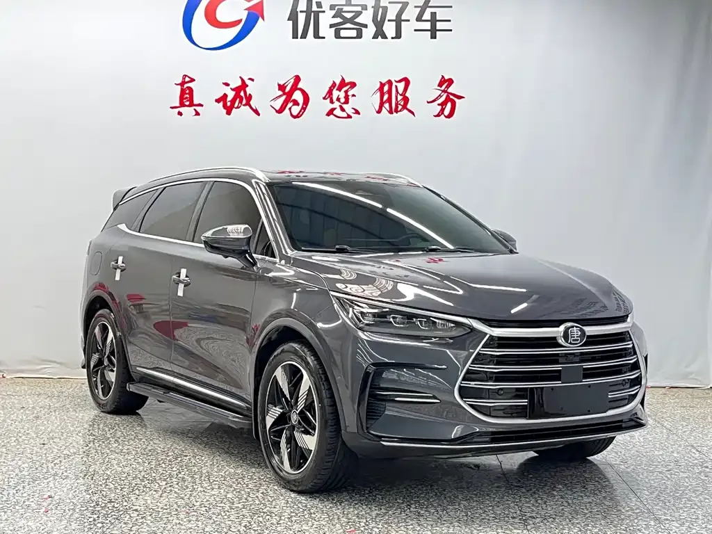 BYD Tang New Energy — фото 8