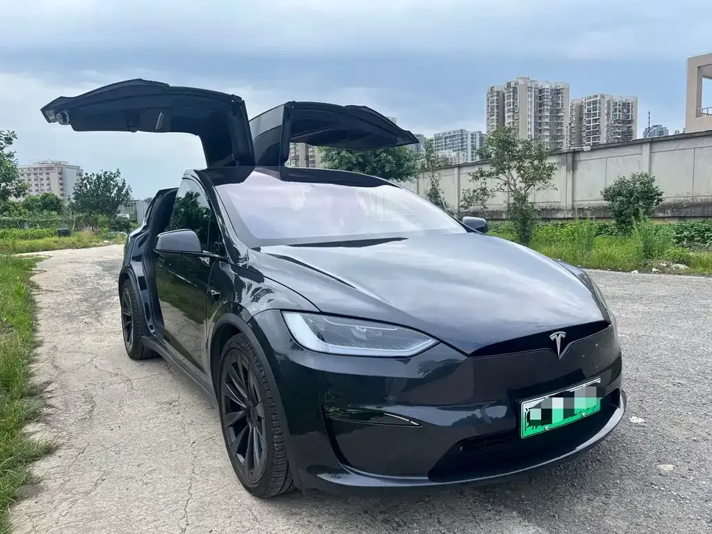 Tesla Model X — фото 6