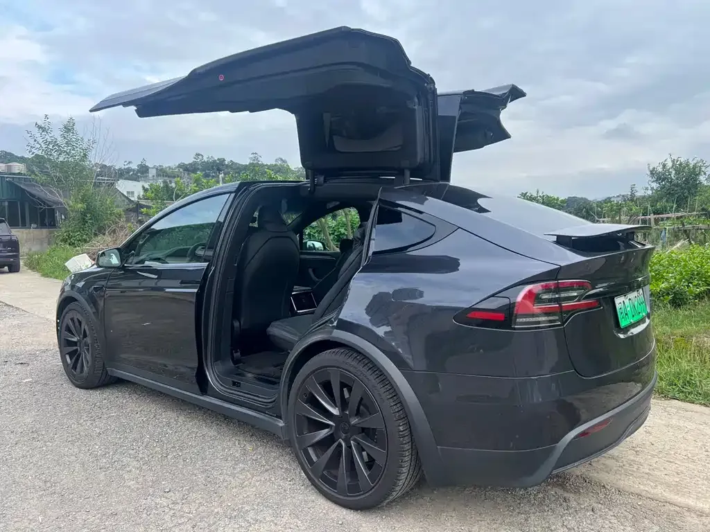 Tesla Model X — фото 4