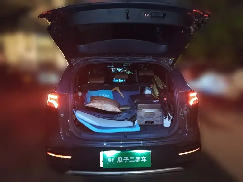 BYD Tang New Energy 2023 из CN, фото 2