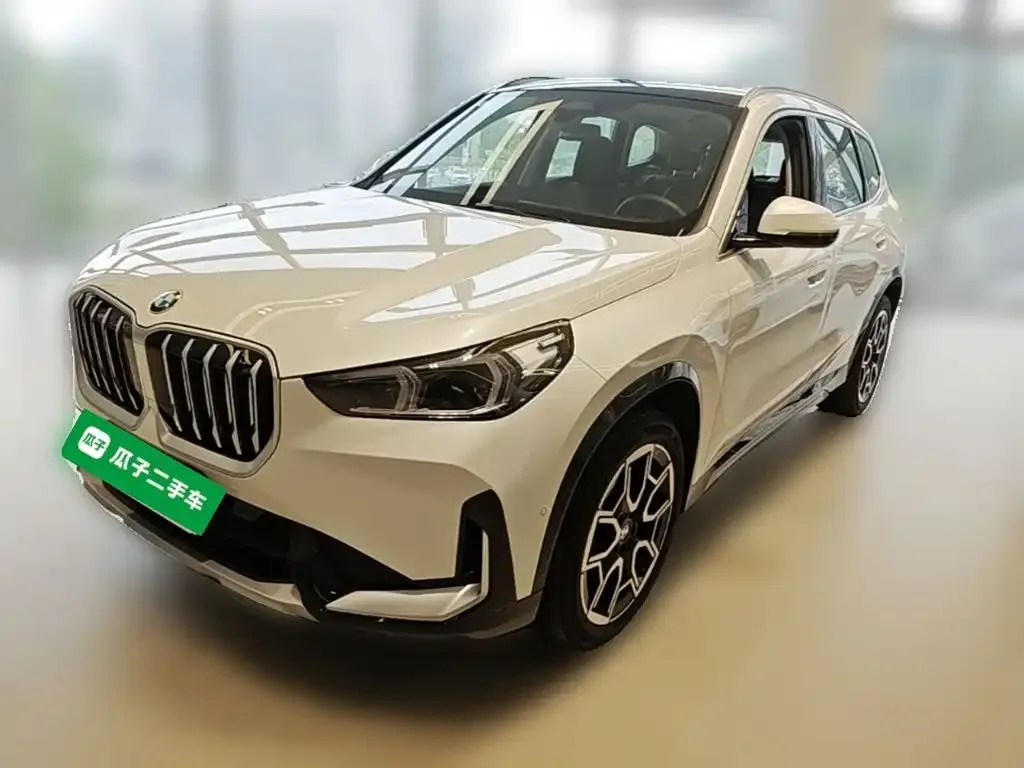 BMW X1 — фото 10