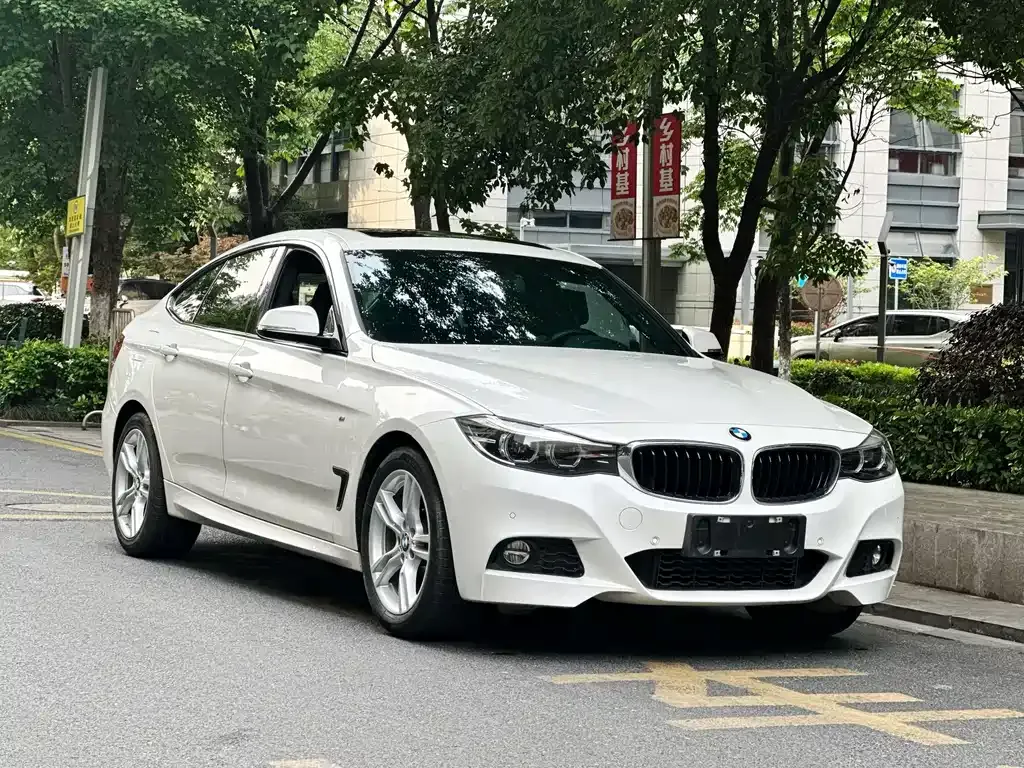 BMW 3 Series GT 2021 из CN, фото 6
