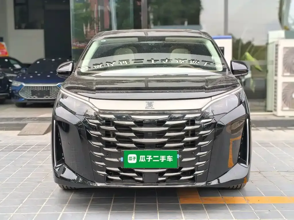 BYD Xia 2025 из CN, фото 5