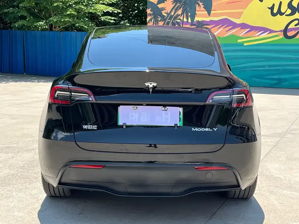 Tesla Model Y — фото 10